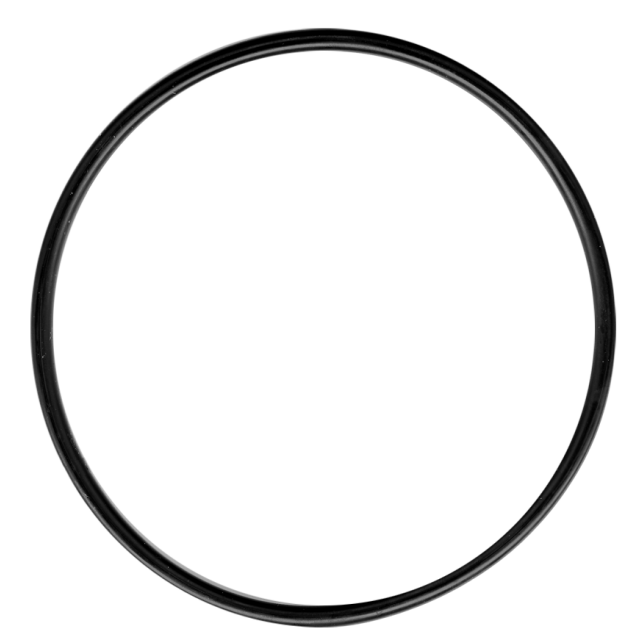 NUSSBAUM O - Ring zu Filtertassen